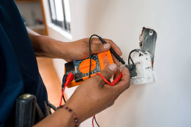 Best Electric Panel Repair  in Shoreacres, TX